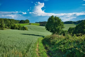 Serwis ekspresów