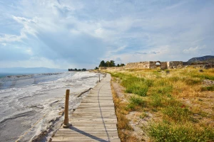 Co warto wiedziec o wegetarianizmie i weganizmie
